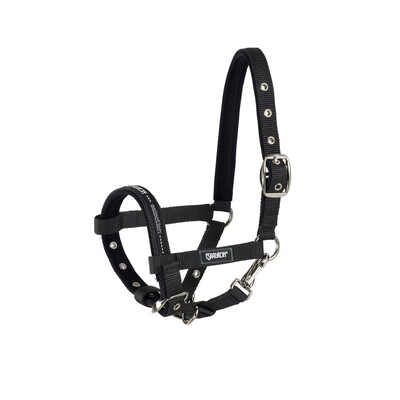 Eskadron Foal Halter