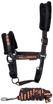 Harry's Horse Headcollar and lead Halloween