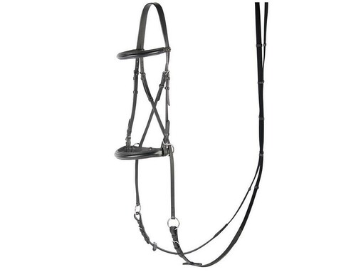 Harry's Horse Bitless Bridle