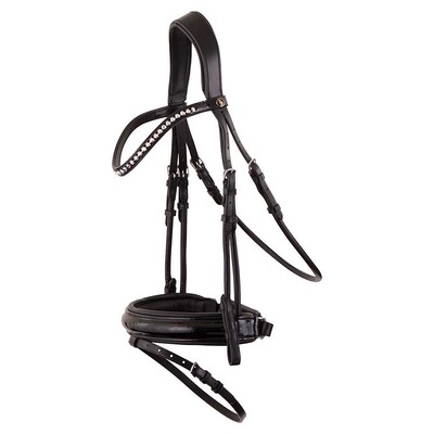 BR Bridle Eston Patent leather