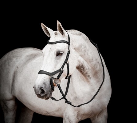 Horseware Micklem 2 Competition Bridle