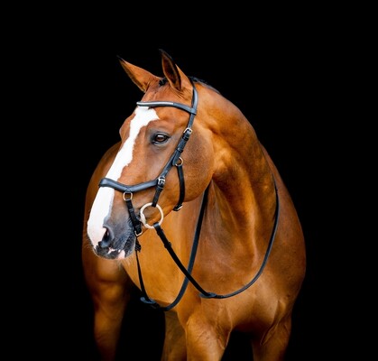 Horseware Micklem 2 Diamante Competition Bridle