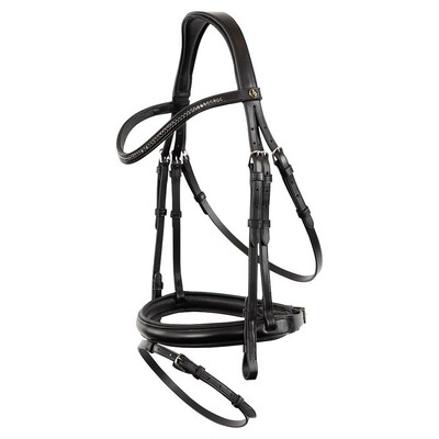 BR Bridle Brackley 