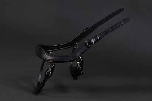 PresTeq Noseband FaySport