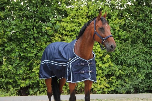 DKR Sports Rain rug turnout Luxe 50grs