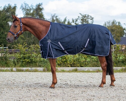 QHP Turnout rug luxury 50gr