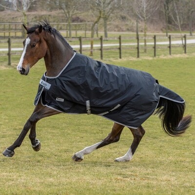 Bucas Anniversary Turnout 150gr Stay-Dry Winterrug