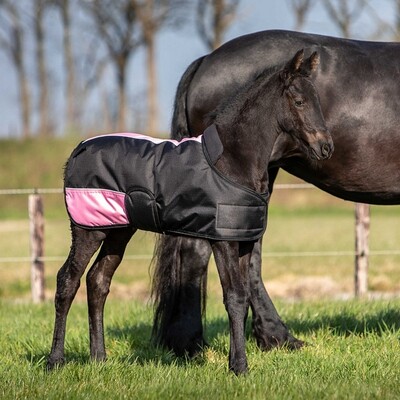 Harry's Horse Foal Rug Two Tone