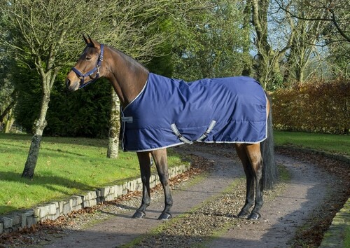 Bucas Freedom Stable Rug 150