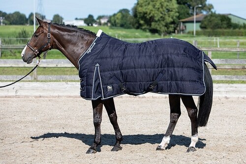 Harry's Horse Stable rug Highliner 500gr