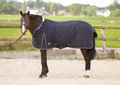 Harry's Horse Stable rug Highliner 200g