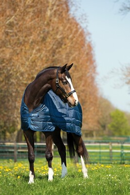 Horseware Liner 200grs