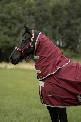 Bucas Atlantic Exclusive Combi Neck