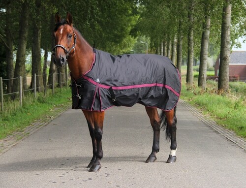 DKR Sports Luxury Rain Rug with fleecelining