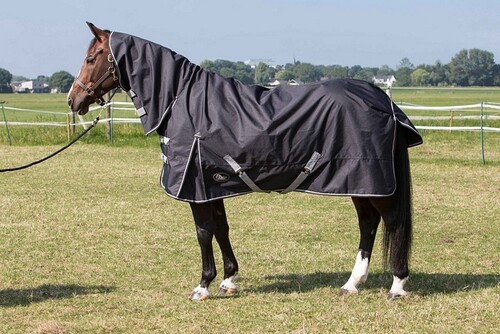 Harry's Horse Rainsheet Combo Thor with Neck