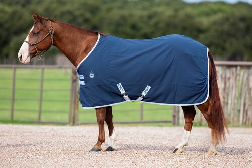 Amigo Stable Sheet 0grs Summerrug