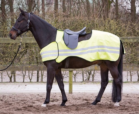 Harry's Horse Exercise sheet Reflective