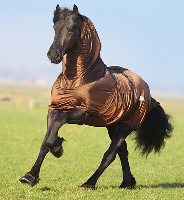 QHP Eczema Rug Big Neck / Friesian