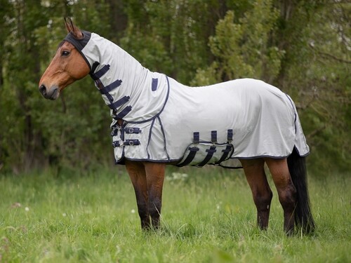 DKR Sports Fly Rug Hoody