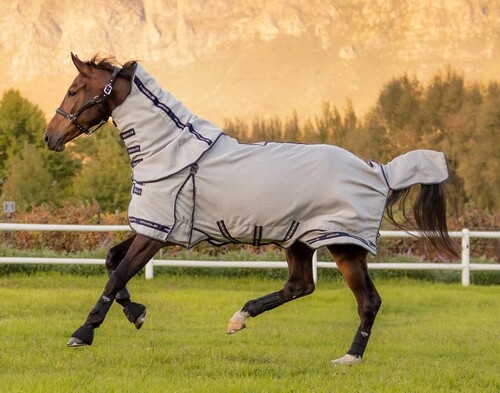 LeMieux Kudos Gladiator Fly Rug