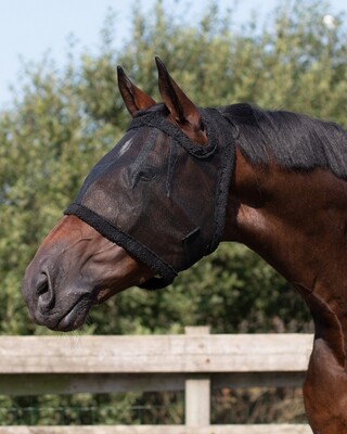 QHP Flymask without Ears