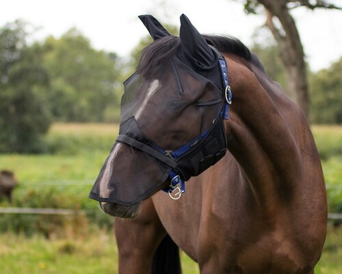 QHP Fly Mask with Detachable Nose flap