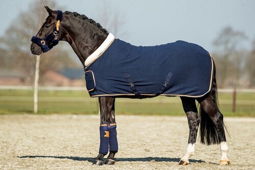 HB Showtime Blue Moon Show Rug