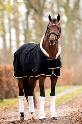 HB Polar 400 Dutch Crown Showrug