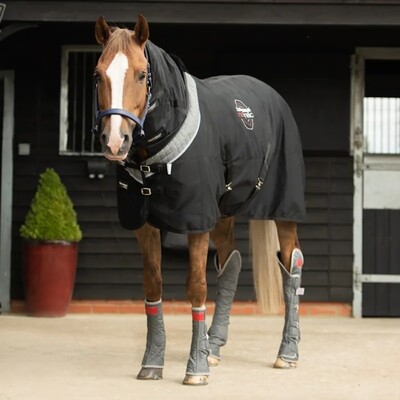 Equilibrium Magnetic Rug for horses