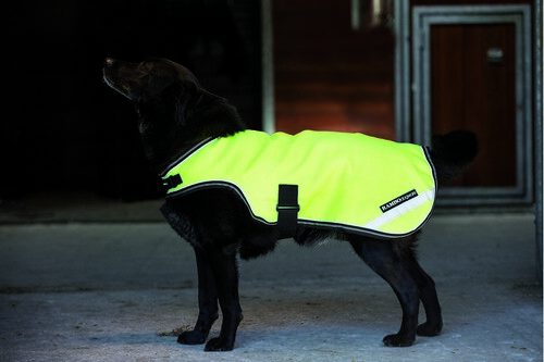 Horseware Rambo Reflective Dog Rug