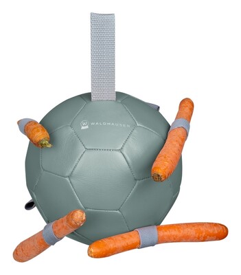 Waldhausen Carrot Ball