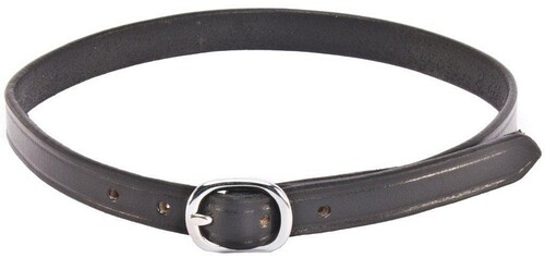 QHP Spur Straps Leather Basic