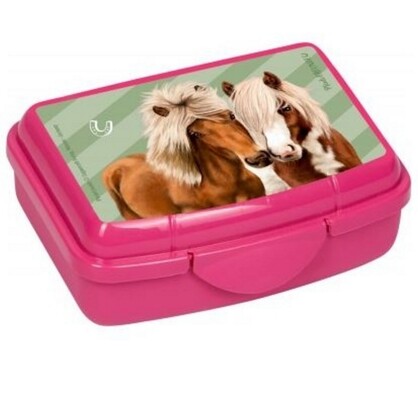 Horsefriend Mini Snack Box Horse