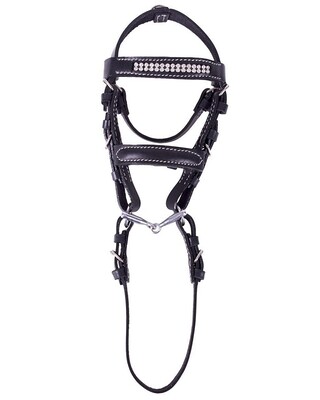 QHP Mini bridle Madelon