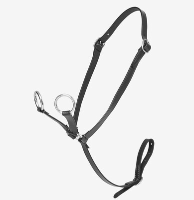 LeMieux Mini Toy Pony Martingale