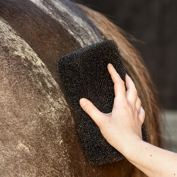 QHP Equi Super shiner