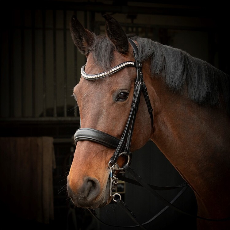 Harry's Horse Stang&trens hoofdstel Soft Crystal