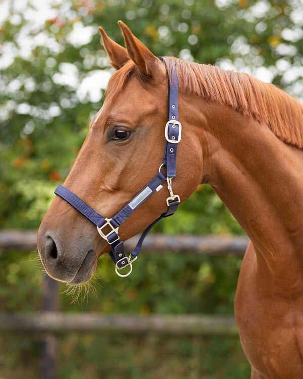 QHP Halster Gevoerd