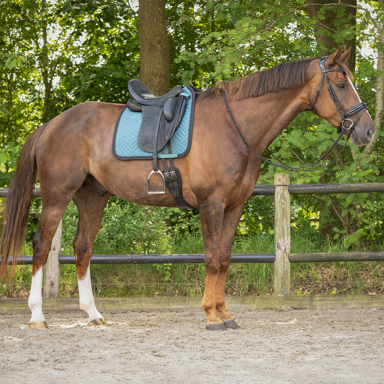 QHP Zadeldek Micah