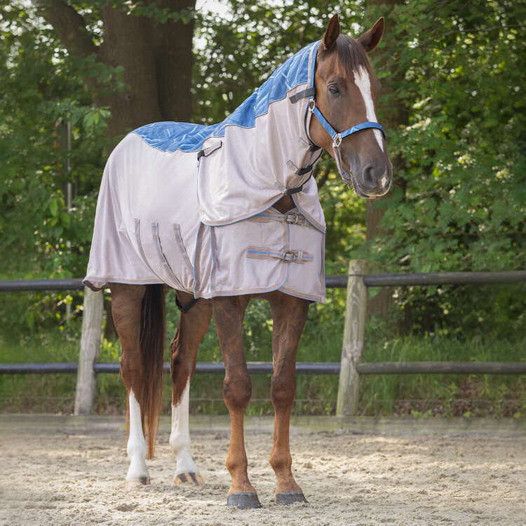 QHP Vliegendeken combo collection met hals