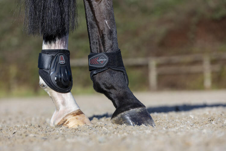 LeMieux Derby ProJump Fetlock Boot