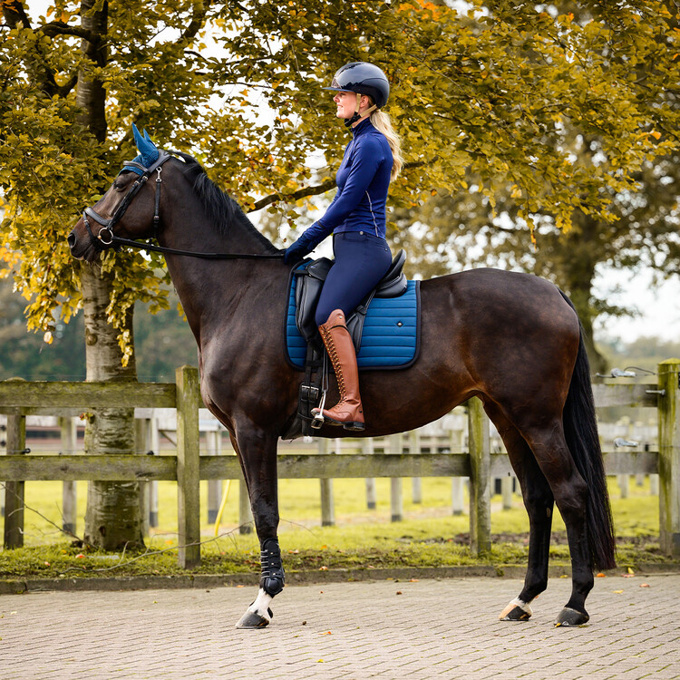 QHP Rijbroek Lymee softshell FullGrip