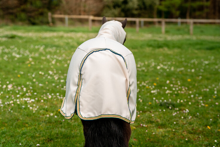 Horseware Amigo Petite Ripstop Hoody