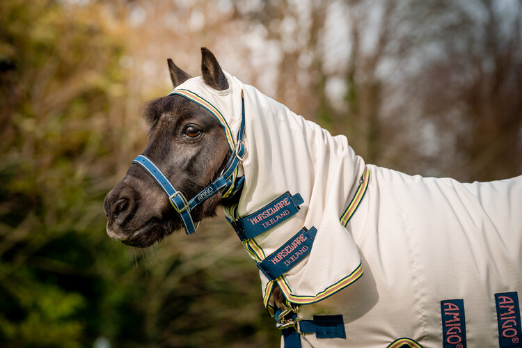 Horseware Amigo Petite Ripstop Hoody