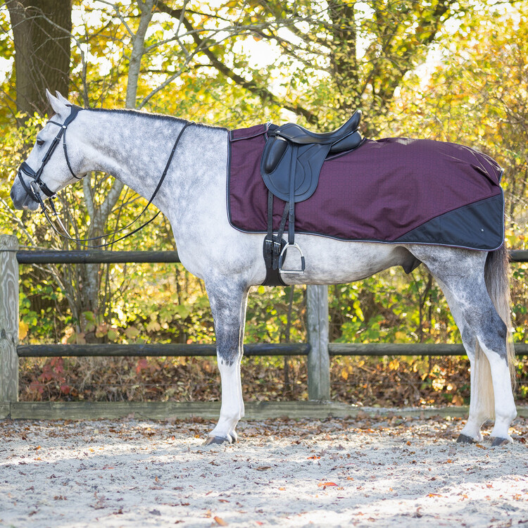 QHP Uitrijdeken 1200D turnout collection waterproof