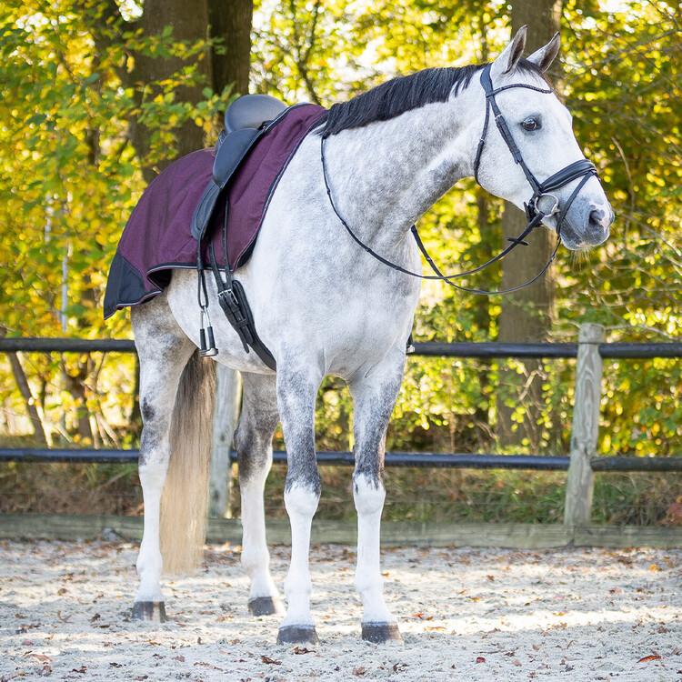 QHP Uitrijdeken 1200D turnout collection waterproof