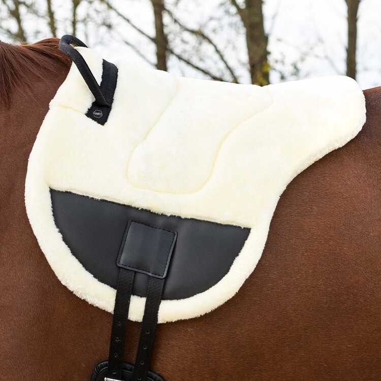 QHP Barebackpad Ontario