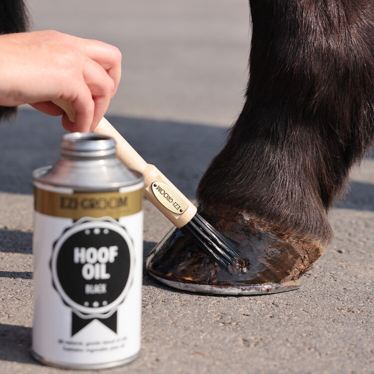 Ezi-Groom Premium Olie kwast