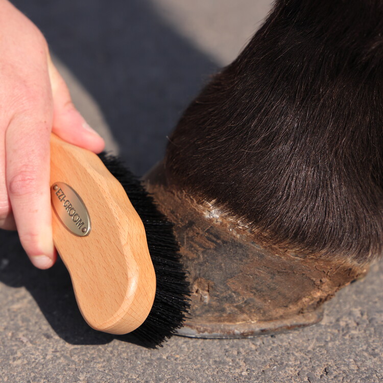 Ezi-Groom Premium Hoefborstel