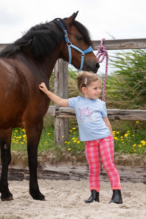Harry's Horse Rijlegging Equitights Check Diva Stella